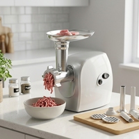 Hachoir à viande professionnel en cuivre massif 1000 W max, conception à double bouton, multifonctionnel pour usage domestique et commercial