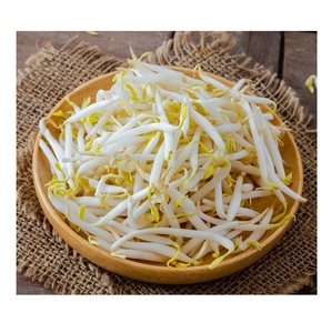 Brotes de soja congelados orgánicos para salteados, ensaladas y sopas, proceso de congelación BQF - Product Image 5