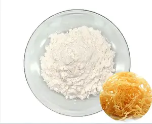 Natural Carrageenan powder supply wholesale and retail from Vietnam