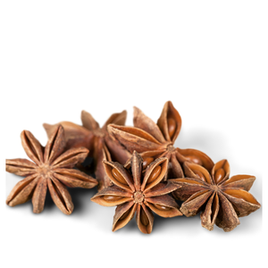 Anis étoilé entier séché de qualité supérieure _ Approvisionnement en vrac pour les importateurs et les grossistes - Product Image 1