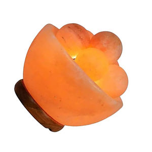 Premium Home Decor Himalayan Salt Fire Bowl Lampe avec Crystal Pink Rock Salt Boules de massage Artisanat naturel pour le bien-être - Product Image 5