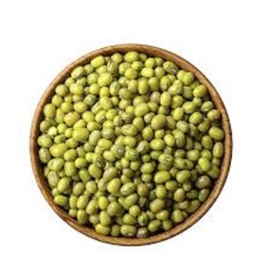 Frijoles Mungo Vigna de Alta Calidad al por Mayor, Frijoles Moong Verdes Enteros Secos a Granel, 50 kg, 24 Meses de Duración, de los Países Bajos - Product Image 1