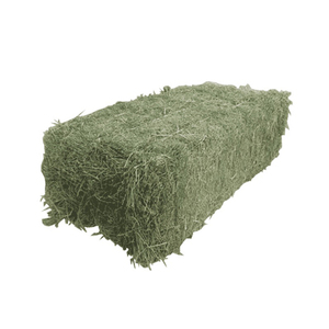 Foin d'alfalfa destiné à la vente au détail, proposé pour la revente à grande échelle et la distribution en vrac - Product Image 6