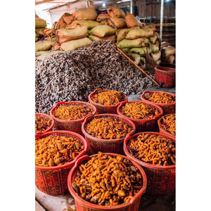 ขมิ้นสดแห้งจากเวียดนาม - Product Image 2