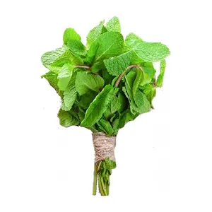 Folha de hortelã fresca 100% orgânica e natural, compre do melhor fornecedor