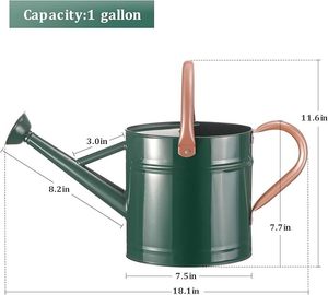 Arrosoir en métal vintage pour les passionnés de jardinage, arrosoir en métal fiable pour la croissance des plantes - Product Image 2