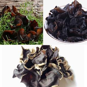 Hongo de oreja de diablo (Cloud Wood Ear Fungus) y hongo negro seco, suministro al por mayor desde Vietnam - Product Image 5