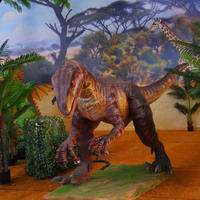 Dinosaure Velociraptor Animatronique : Modèle réaliste pour la décoration intérieure/extérieure des parcs à thème, musées, centres commerciaux et aéroports
