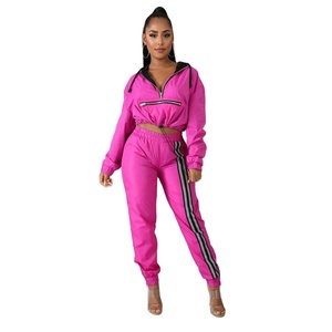 Hot Selling <b>Windbreaker</b> Cropped Hoodies and Trouser 2 Piece Tracksuit Set for <b>Womens</b> With Custom Logo 2025 - Product Image 2