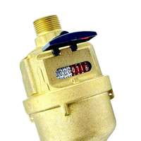 China Volumetric Rotary Piston Water Meter Elster Kent Water Meter