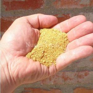 Destiladores de maíz puro y natural, granos secos con Soluble (DDGS) para cerdos y piensos para peces, bajo precio de exportación disponible - Product Image 3