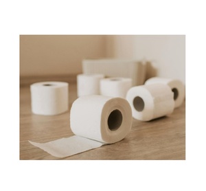 Papiers toilette extra doux, très absorbants, rouleaux confortables et durables, parfaits pour les familles et l'usage quotidien - Product Image 2