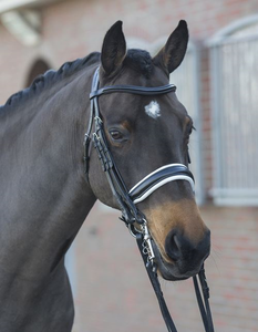 Brida de doma - Product Image 1