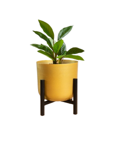 Macetas de Metal para interiores con acabado dorado Allura de alta calidad, soporte de diseño martillado para jardín doméstico, incluye paquete decorativo para suelo - Product Image 4