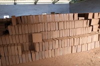 COCOPEAT Blocs de 5 kg, faible EC, hautement purifiés, issue de la coque de noix de coco, 30x30x10/12cm, expansion 75 litres