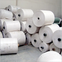 Rouleau de sac tissé en PP du fabricant Rouleau de bâche en plastique bonne flexibilité Rouleaux de tissu tissé en PP