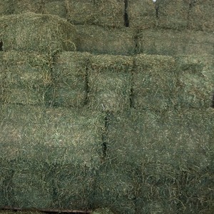 Foin de luzerne séché au soleil riche en protéines et en fibres, idéal pour nourrir les animaux de la ferme. - Product Image 5