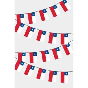 Digital Printing Rectangular Flag <b>Banners</b> for Chili Themed Decorations - Product Image 1
