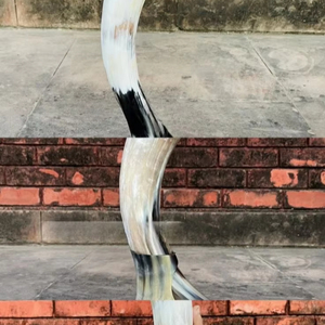 Authentic Drinkware Natural Horn Handmade Viking Medieval Drinking Horn with Best Quality Made by Craft Zone Export From India - Product Image 1