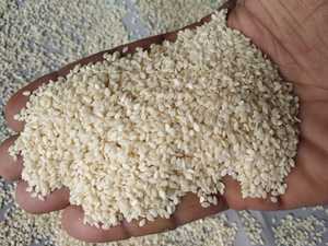 NEW Crop 2025 Hulled White sesame <b>seeds</b> Best Quality 100% Organic Unhulled (Natural) Sesame <b>Seeds</b> Trustworthy Supplier - Product Image 5
