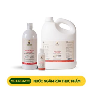 Enzima de piña ecológica para lavado de frutas y verduras Detergente de alimentos naturales Líquido de remojo para mujeres embarazadas y niños - Product Image 6