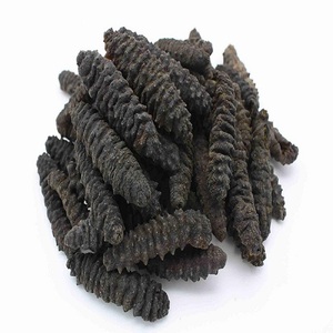 Pepino de Mar de Primera Calidad, 100% Congelado, Sin Gluten, Bajo en Sodio, Envasado al Vacío, Tiras de 5-10 cm en Venta - Product Image 4