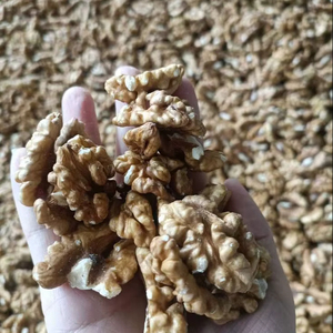 Noix décortiquées biologiques Noix fraîches séchées biologiques En vrac Snacks sains de noix décortiquées Aliments biologiques frais séchés disponibles - Product Image 1