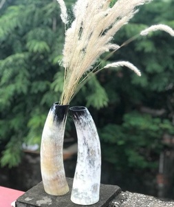 Cuerno de Búfalo para Decoración del Hogar, Florero de Cuerno Natural Hecho a Mano, la Mejor Calidad, Estilo Vikingo para Beber, por f s i - Product Image 4