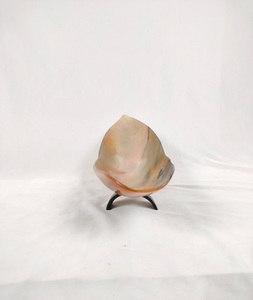 Vajilla de cerámica japonesa pequeña al por mayor, cuencos de cuerno de buey de búfalo natural ecológicos, cuencos de fruta decorativos, masa de forma ovalada - Product Image 2