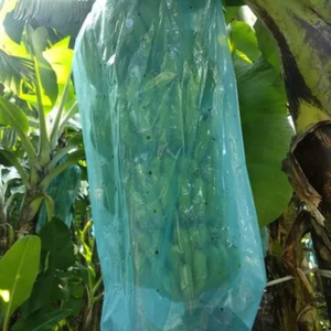 Bolsas de plástico para la maduración del plátano-Bolsas impermeables para la protección de la fruta del plátano - Product Image 4