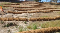 Vietnam Vigifarm : Blocs de fibre de coco 100 % naturels pour le contrôle de l'érosion, la plantation d'arbres et l'aménagement paysager à prix raisonnable