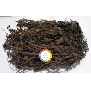 HIERBA NEGRA SECA JALEA HOJAS PROVEEDOR DE VIETNAM PRODUCTO NATURAL DE ALTA CALIDAD PARA LA PRODUCCIÓN DE ALIMENTOS - Product Image 3