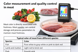 Espectrofotómetro de Color sin Contacto para Pruebas de Frescura de Carne y Pescado con Pantalla Lab* y Función de Coincidencia - Product Image 3