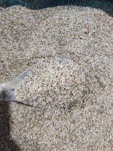 Granulado de rábano picante deshidratado, copos de rábano picante, productos de rábano picante deshidratado - Product Image 2