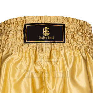 OEM servicio al por mayor nueva llegada personalizada hombres Muay Thai pantalones cortos Etiqueta Privada ropa de artes marciales - Product Image 2