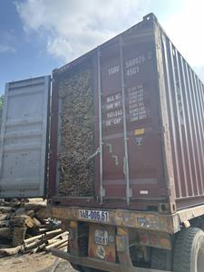 El poste de mayor diámetro de la gama, el poste de bambú natural de 120/150mm es un material ideal para estructuras de construcción. - Product Image 4