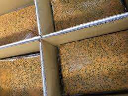 เพิ่มวิตามินธรรมชาติ! น้ำเสาวรสแช่แข็งเป็นส่วนผสมที่อร่อยและดีต่อสุขภาพสำหรับทุกสูตร - Product Image 4