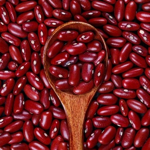 Wholesale Red Kidney <b>Beans</b> High Protein Non-GMO Kidney <b>Beans</b> From Turkey with 2-Year Shelf Life for Export - Product Image 4