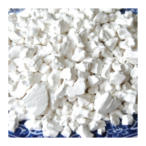 Poudre d'arrowroot du Vietnam-Farine sans OGM et sans additif pour les applications culinaires et de soins personnels - Product Image 2