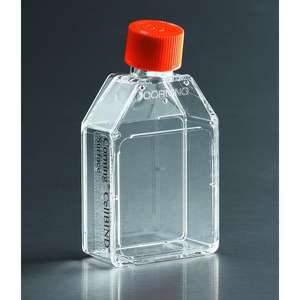 Catégorie Produit Corning CellBIND 225cm2 Flacon de culture cellulaire à col coudé rectangulaire avec bouchon d'aération Flacons de 225 cm2 - Product Image 3