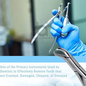 Instrumentos de cirugía oral Fórceps de extracción dental anterior Dentista de acero inoxidable Fórceps anteriores de acero inoxidable de alta calidad - Product Image 4