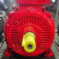 50Hz-60Hz boîtier en fonte noyau de cuivre moteur électrique triphasé moteur électrique à courant alternatif moteur asynchrone
