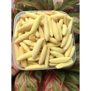 คุกกี้ยีสต์ทุเรียนรสชาติกรอบ - Product Image 6