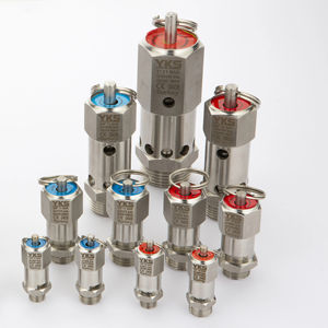 Válvula de Seguridad de Acero Inoxidable con Certificación CE |   Tipo Sellado |   Conexión de 1″ |   Presión de 2-19 bares |   316L |   Válvula de Alivio de Presión - Product Image 1