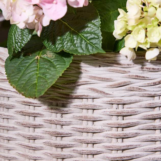 ล้างบาป