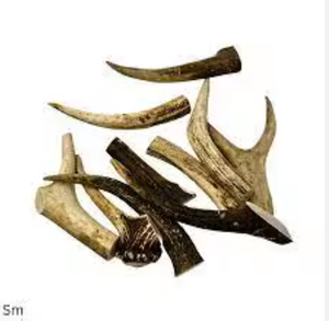 Cuernos de Ganado Naturales de Primera Calidad para Masticar por Mascotas, Manualidades, Decoración del Hogar, Larga Vida Útil, Almacenamiento en Seco y Fresco - Product Image 2