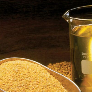 Huile de soja raffinée 100% pure Disponible en vrac Qualité supérieure pour la cuisson et la friture - Product Image 2