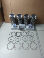 Kit Silinder Piston Yuchai4108ZQD0200-9000200, Ring Piston, Pin Piston, Seal, Bantalan Crankshaft, Thrust Washer, dan Sleeve