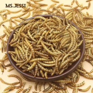 Alimento Suplementario para Insectos: Mosca Soldado Negra Seca y Gusanos de Harina para Aves de Corral, Ganado, Peces y Especies Acuáticas - Product Image 4
