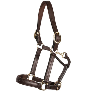 Bridons et licols pour chevaux d'équitation de haute qualité, durables, pour l'extérieur, en PP, pour les courses d'endurance, personnalisation acceptée - Product Image 1